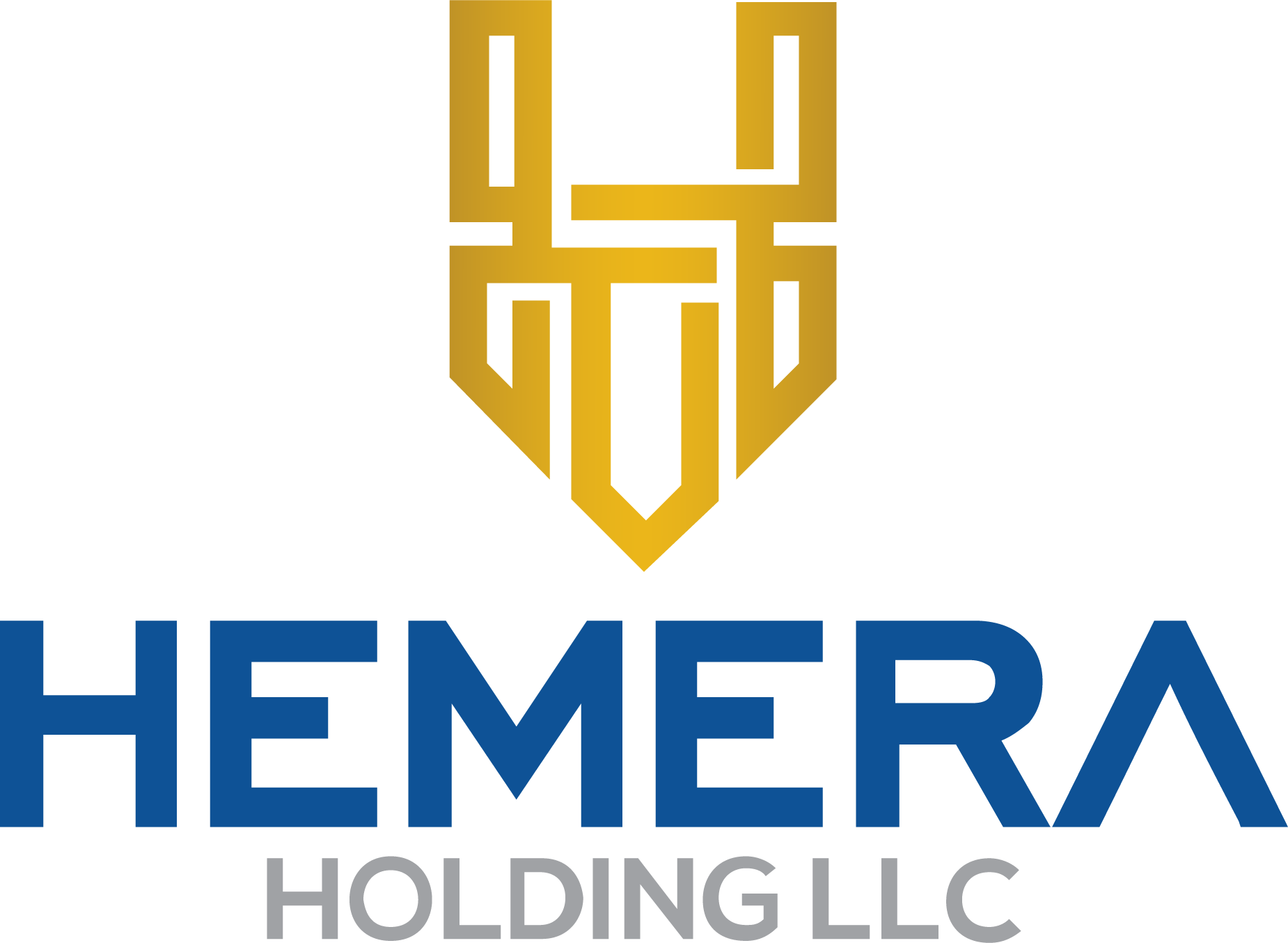 return-and-refund-policy-hemera-holding-llc